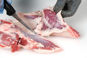 Meat Cut Spec Step 13